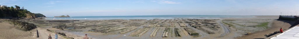 huitre_Cancale_002